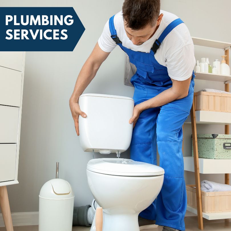 Plumbing Company in Lake View, IA
